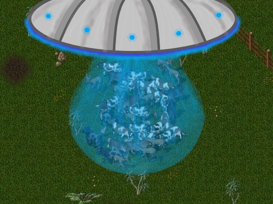 odd.JPG