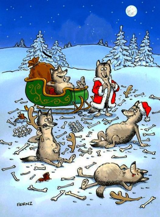 Holiday season.jpg