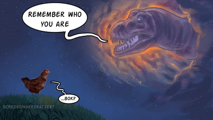 bok.jpg