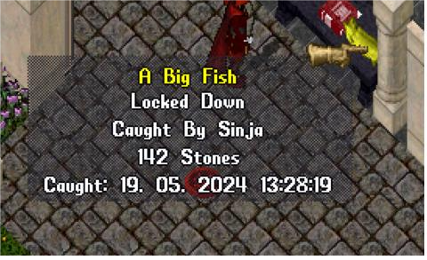 A Big Fish.png