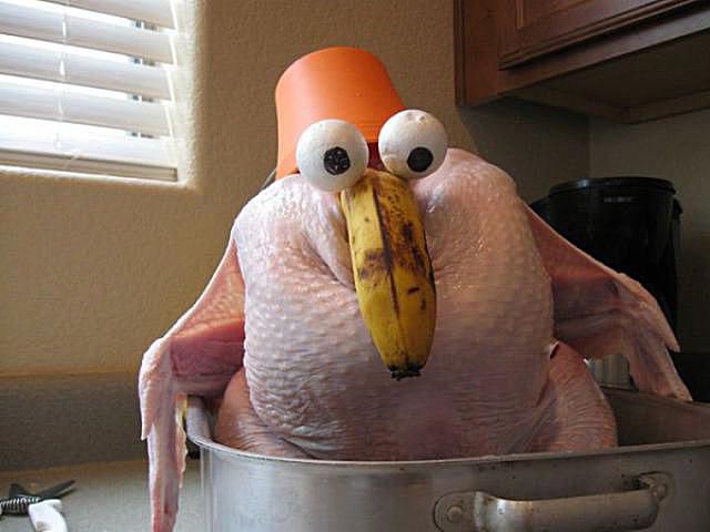 turkey-eyes.jpg