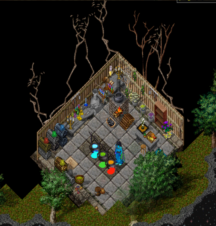 Basement Workspace for Naturalist