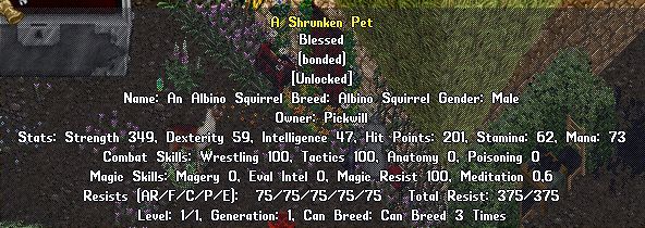 349str.jpg