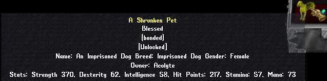 dog.jpg