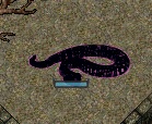 asp.jpg
