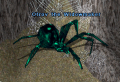 Thumbnail for version as of 06:57, 3 April 2013